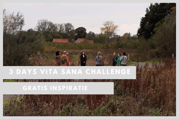 3 days Vita Sana challenge
